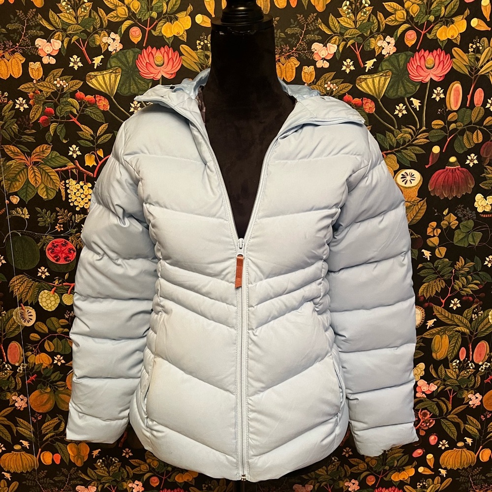 alpine ski jacket